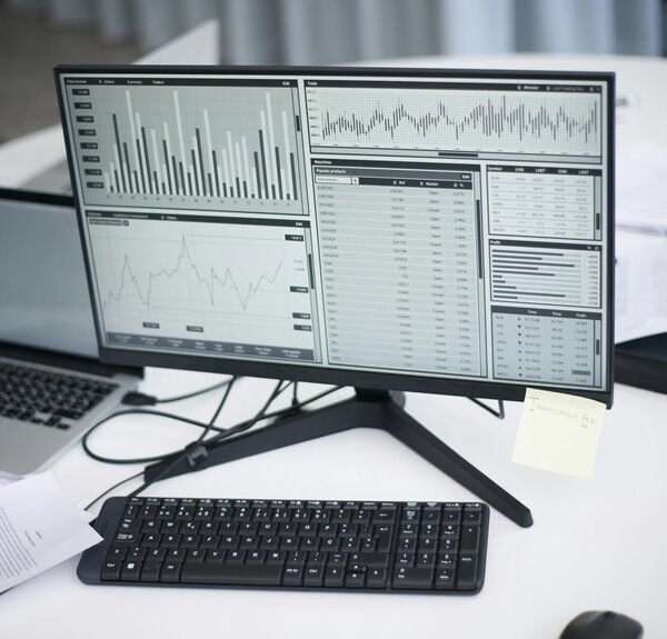 Next Level Digital Hub 919975186 Analytics