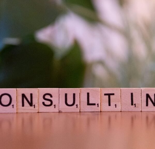 growth focused digital marketing experts